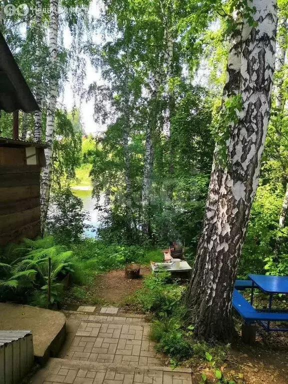 Дом в Новосибирский район, Морской сельсовет, территория СНТ ... - Фото 2