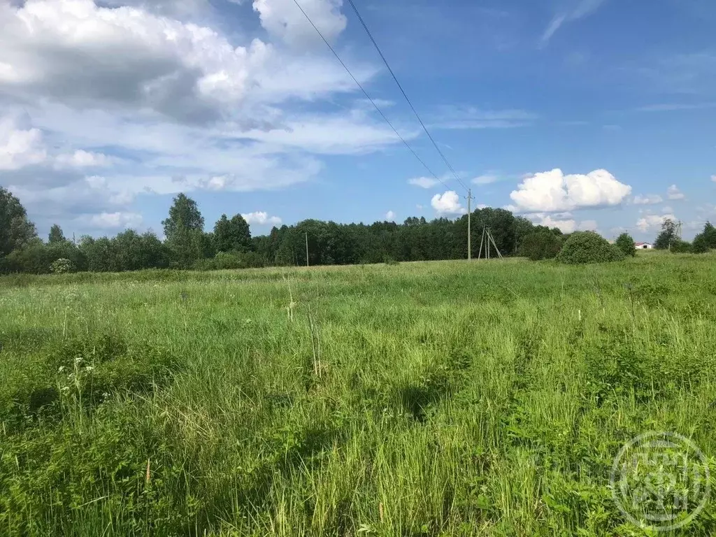 Участок в Ленинградская область, Кингисеппский район, Опольевское ... - Фото 1