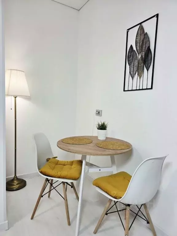 Студия Санкт-Петербург просп. Ветеранов, 214 (24.0 м) - Фото 1