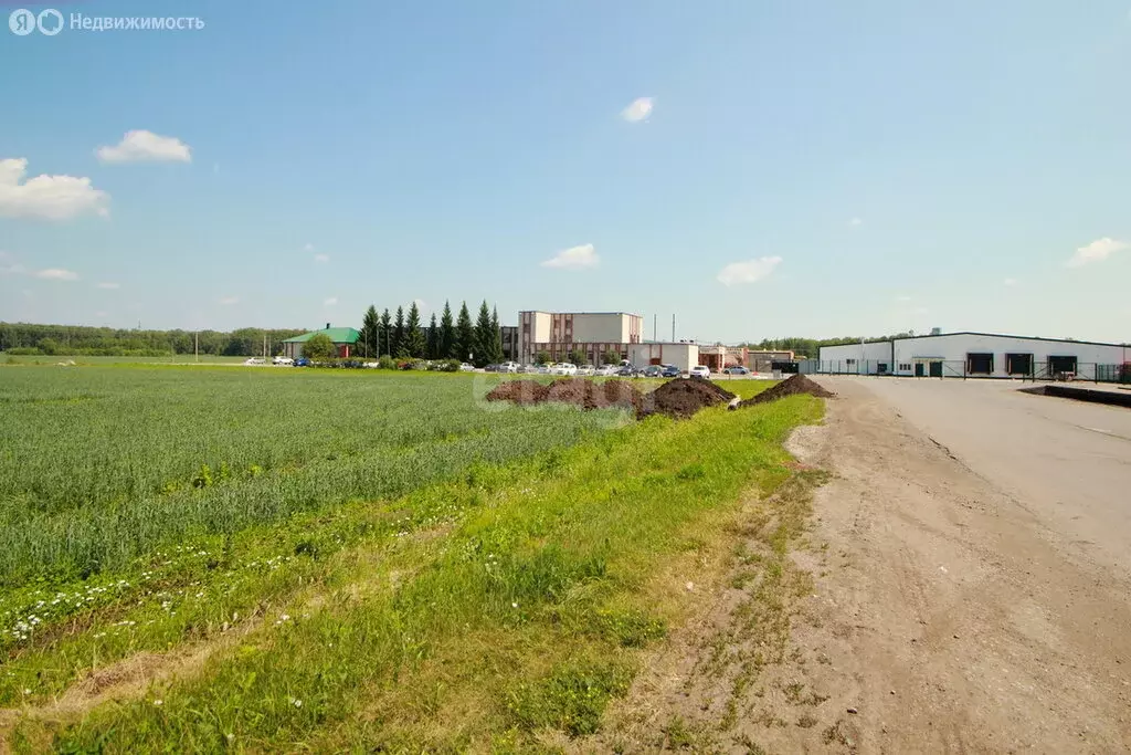 Участок в Заводоуковск, улица Энергетиков (53 м) - Фото 2