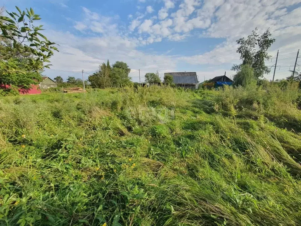 Участок в Еврейская автономная область, Смидовичский район, пос. ... - Фото 2