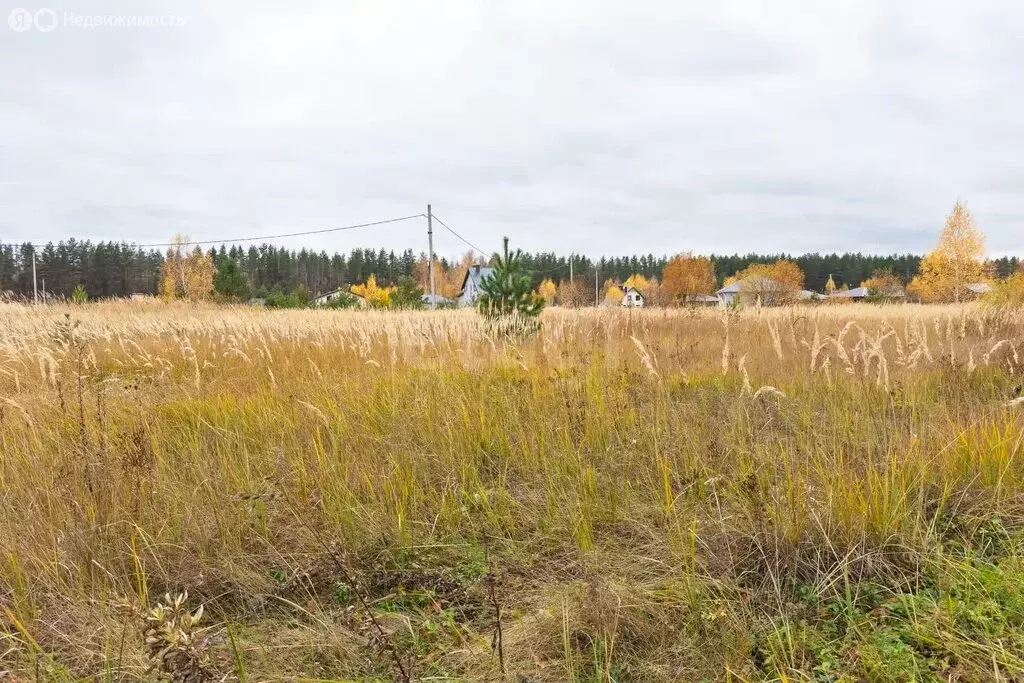 Участок в Сенгилеевский район, Тушнинское сельское поселение, село ... - Фото 1