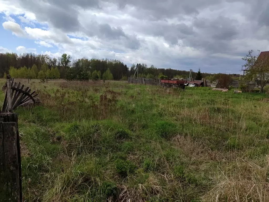 Участок в Московская область, Орехово-Зуевский городской округ, д. ... - Фото 1