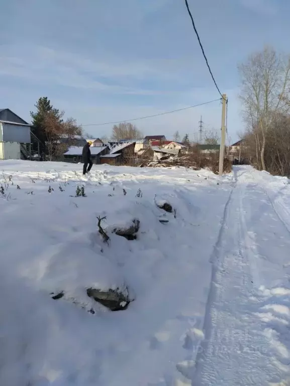 Участок в Новосибирская область, Новосибирск Рассвет садовое ... - Фото 1