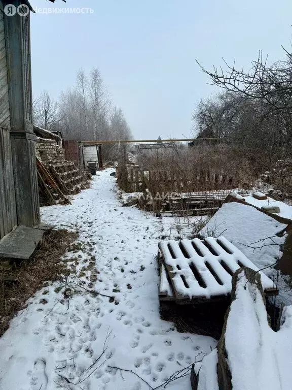Дом в деревня Ручей, Зареченская улица (35 м) - Фото 1
