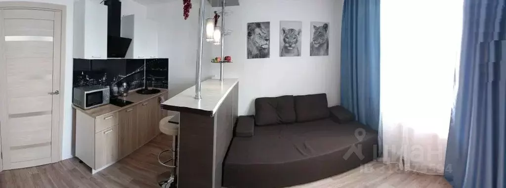 Студия Санкт-Петербург дор. Муринская, 27к3 (20.0 м) - Фото 0