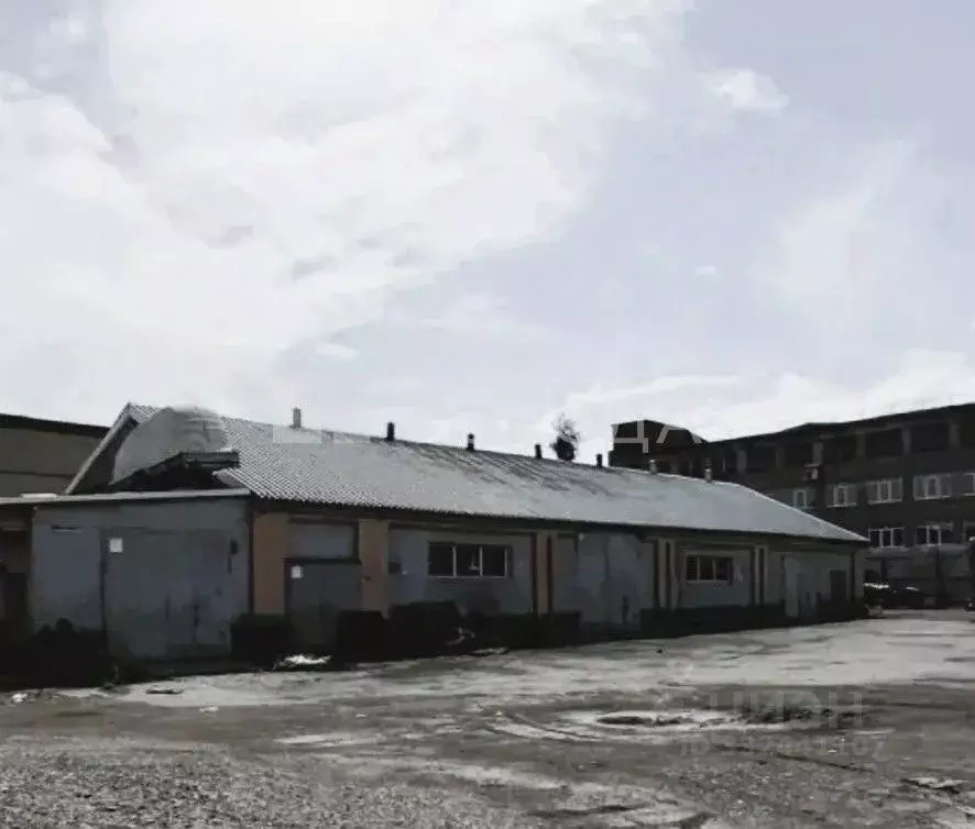 Склад в Кемеровская область, Прокопьевск Сафоновская ул., 28с8 (445 м) - Фото 1