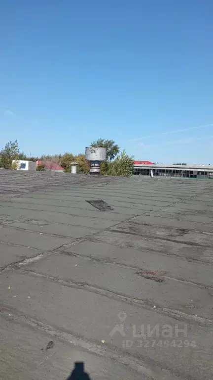 Помещение свободного назначения в Омская область, Омск ул. 10 лет ... - Фото 1