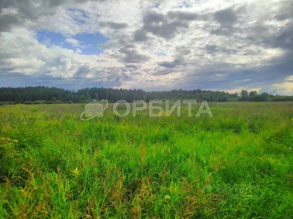 Участок в Тюменская область, Тюменский район, д. Елань 14 (7.18 сот.) - Фото 0