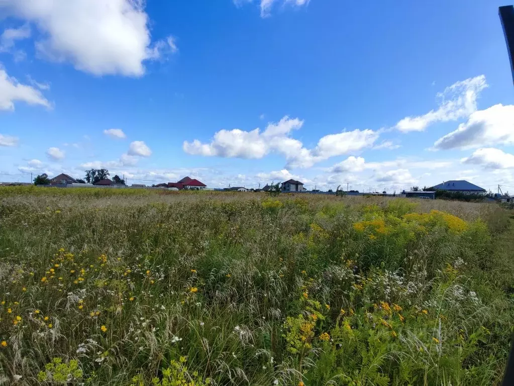 Участок в Брянская область, Брянский район, Добрунское с/пос, д. ... - Фото 1