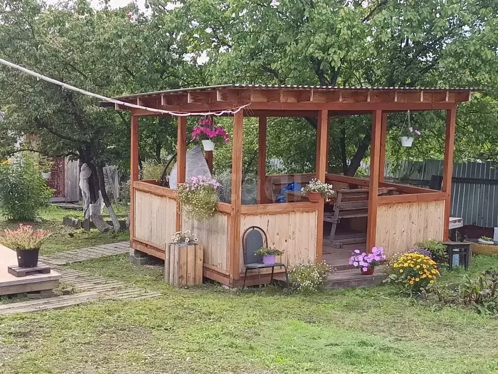 Участок в Амурская область, Благовещенск Снегирь СТ,  (5.35 сот.) - Фото 2