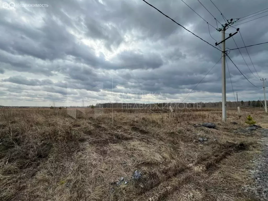 Участок в Тюменский район, село Каменка (10 м) - Фото 1