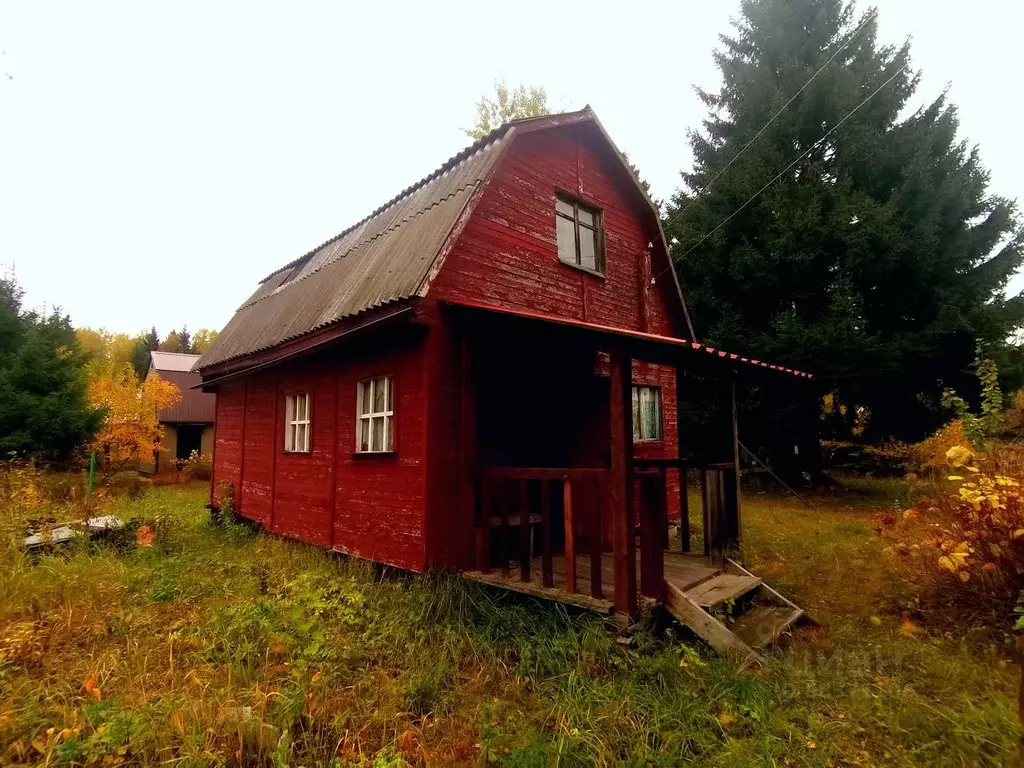 Дачи в онеге. СНТ Онега. Камень в СНТ Онега. СНТ Онега Северодвинск фото.