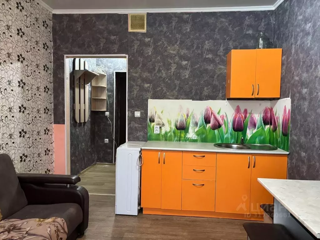 Студия Хакасия, Абакан просп. Дружбы Народов, 41А (25.0 м) - Фото 0