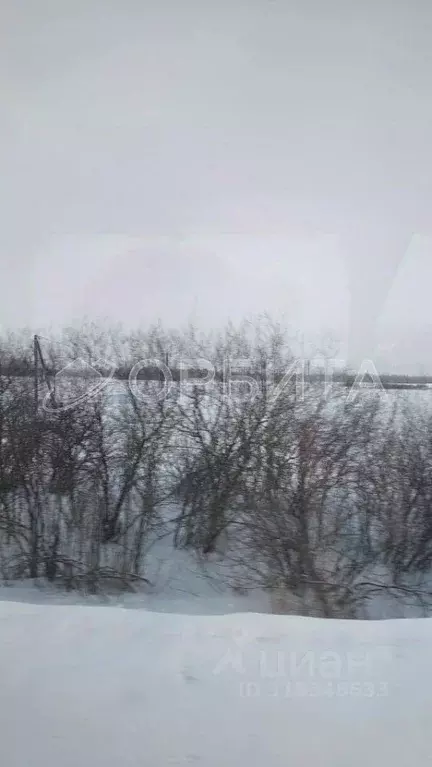 Участок в Тюменская область, Тюменский район, д. Большие Акияры  (8.36 ... - Фото 1