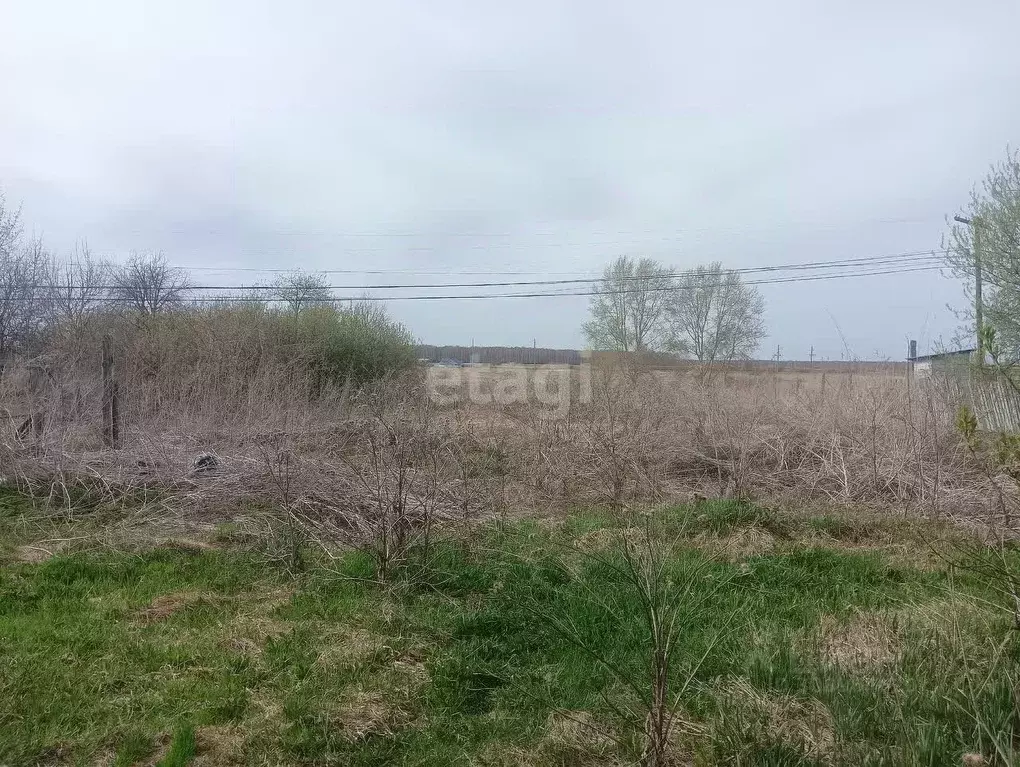 Участок в Тюменская область, с. Большое Сорокино ул. Советская (15.0 ... - Фото 0