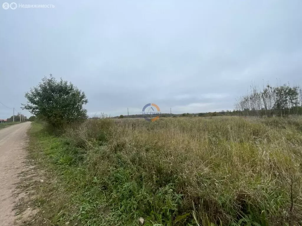 Участок в Новгородский район, Трубичинское сельское поселение, деревня ... - Фото 2