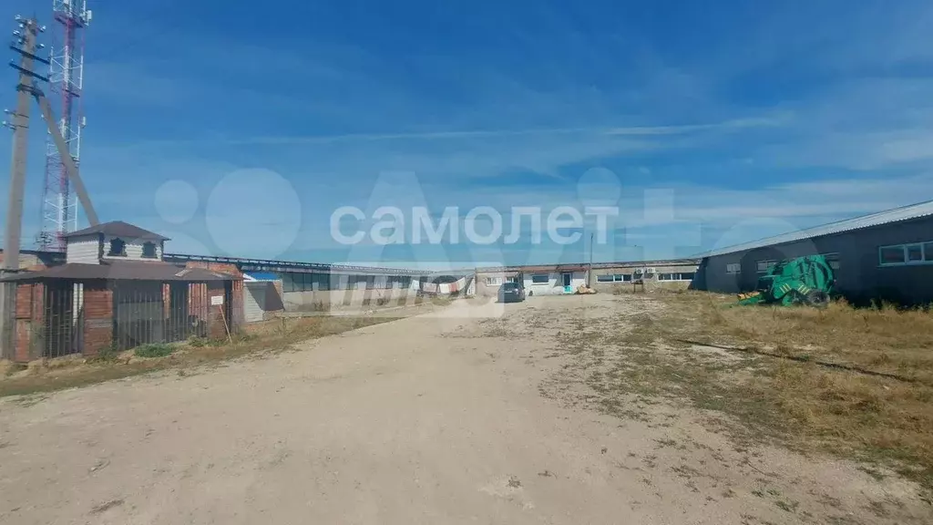 Продается ферма, г. Егорьевск - Фото 0