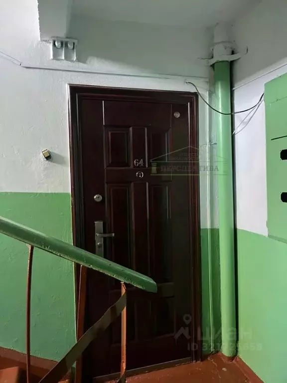 3-к кв. Приморский край, Дальнереченск Уссурийская ул., 48 (52.6 м) - Фото 2