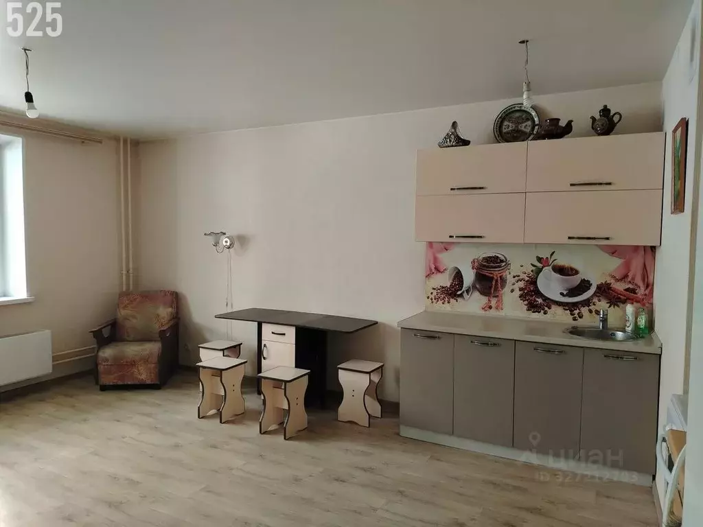 Студия Челябинская область, Челябинск ул. 2-я Эльтонская, 57 (33.5 м) - Фото 2