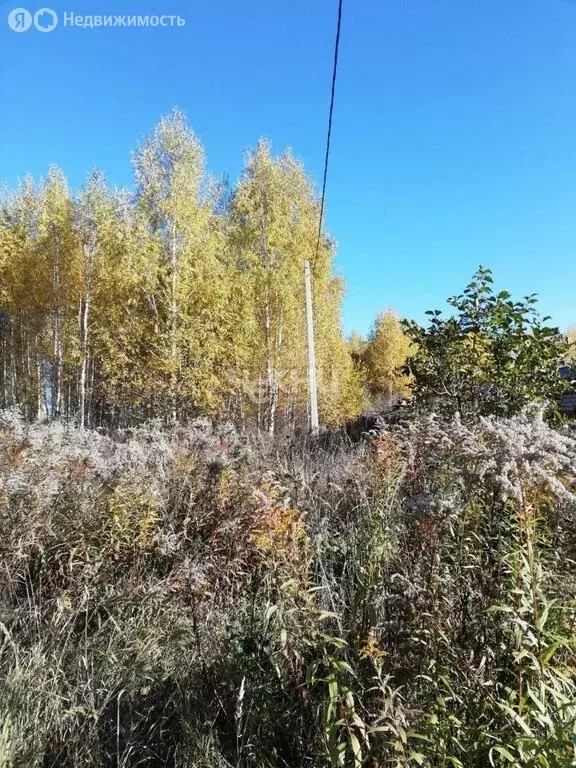 Участок в Нижегородская область, городской округ Бор, деревня Марково, ... - Фото 1