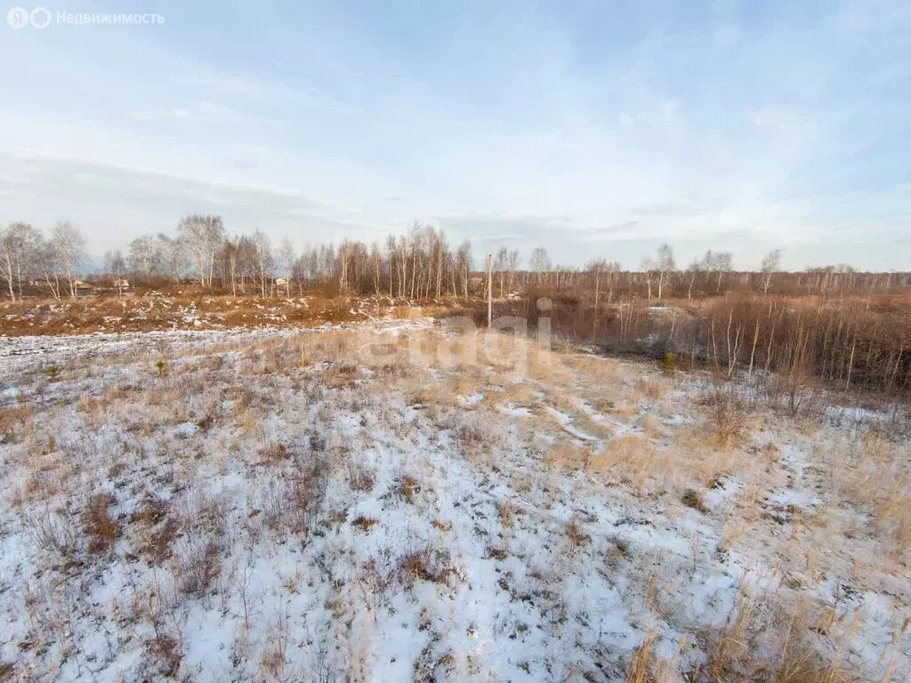 Участок в Тюмень, ДНТСН Зелёный Бор (10.15 м) - Фото 1