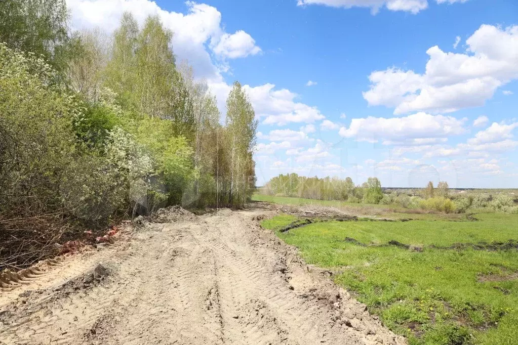 Участок 2,48 га (СНТ, ДНП) - Фото 1