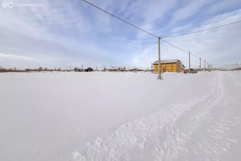 Участок в Новосибирский район, Морской сельсовет, Сельская улица (9.39 ... - Фото 2
