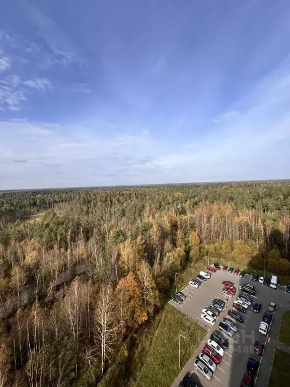 1-к кв. Московская область, Ногинск Богородский городской округ, пос. ... - Фото 0