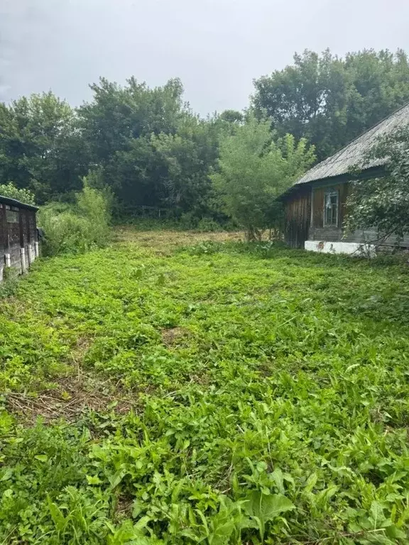 Дом в Алтай, Майминский район, с. Кызыл-Озек ул. Пушкина, 10 (40 м) - Фото 2