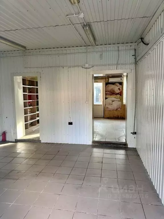 Торговая площадь в Калининградская область, Светлый ул. Лизы Чайкиной, ... - Фото 1