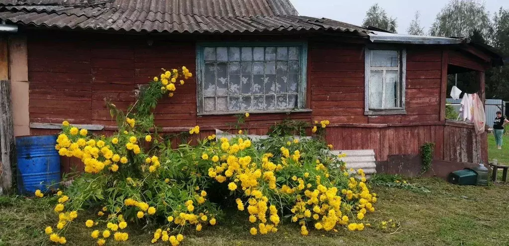 Дом в Московская область, Ступино городской округ, с. Верзилово ул. ... - Фото 1