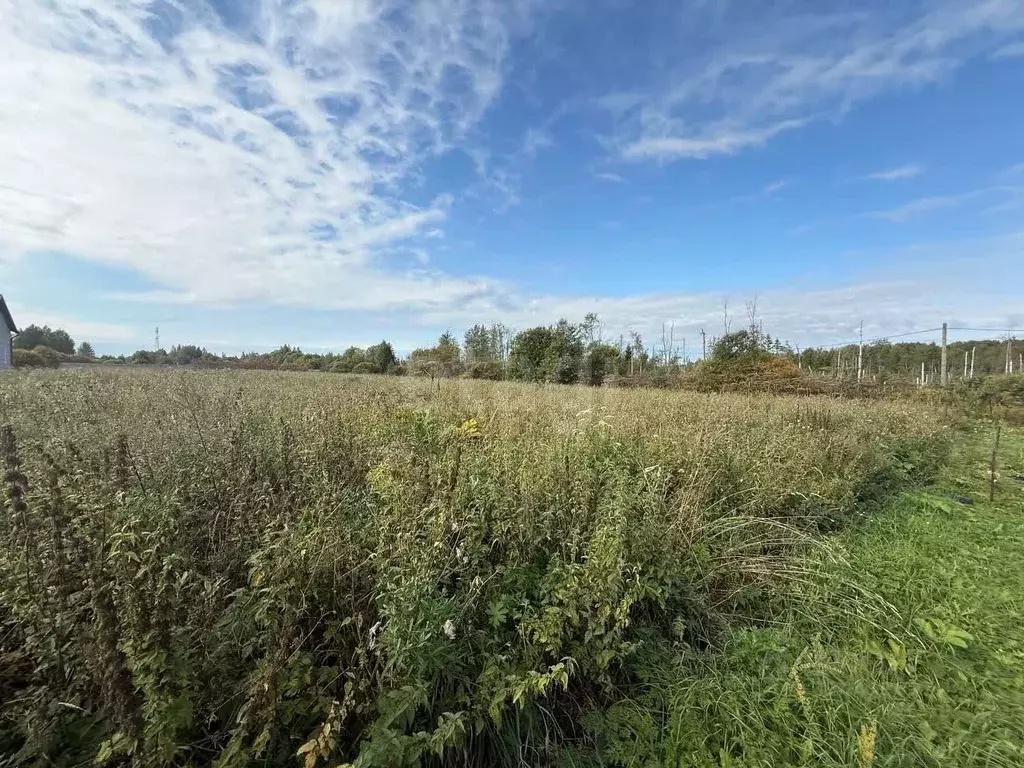 Участок в Ленинградская область, Волховский район, Вындиноостровское ... - Фото 1