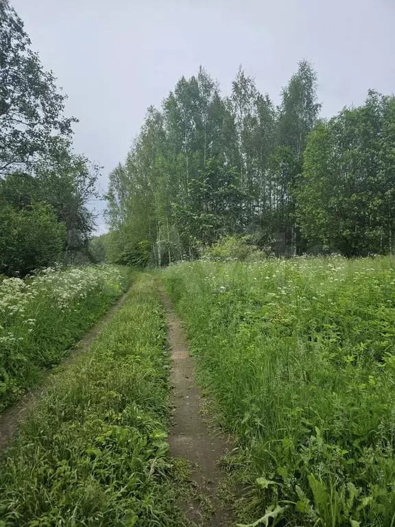 Участок 15 сот. (ИЖС) - Фото 1