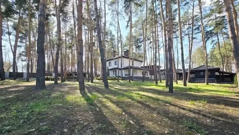 Дом в Алтайский край, Белокуриха Снежная ул. (150 м) - Фото 1