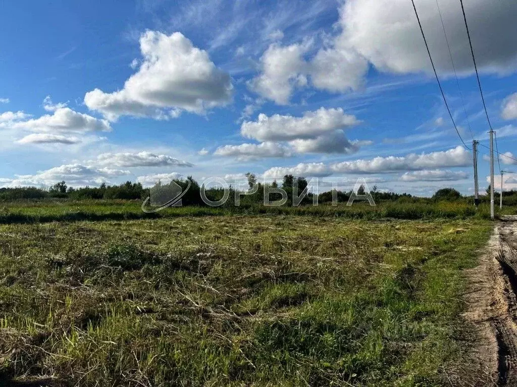 Участок в Тюменская область, Тюмень Садовое товарищество Липовый ... - Фото 1