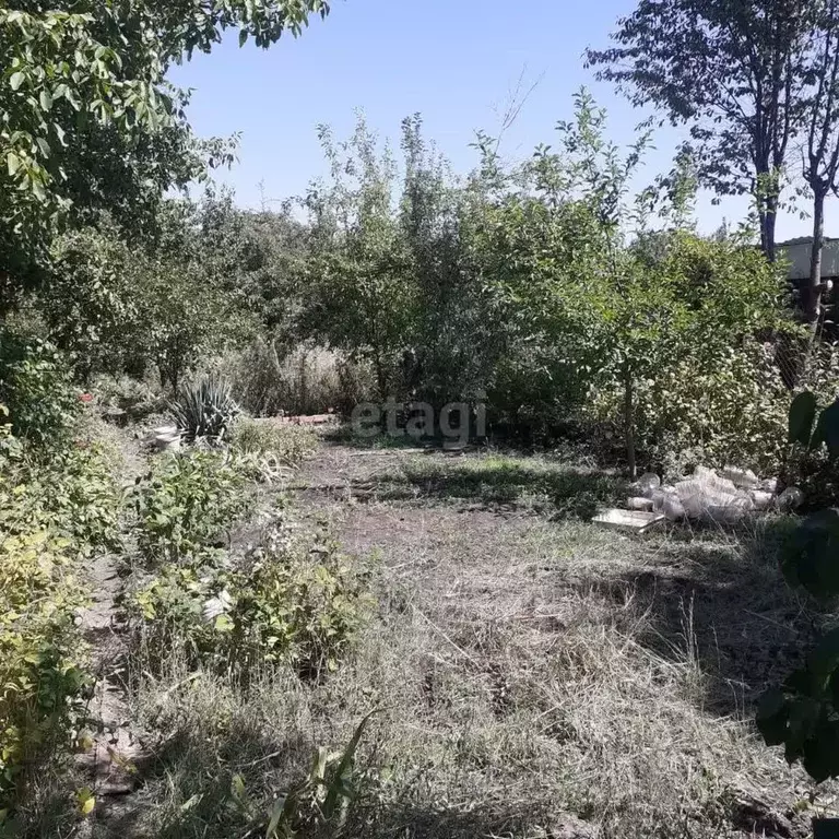 Участок в Ставропольский край, Ставрополь Химреактив садовое ... - Фото 1