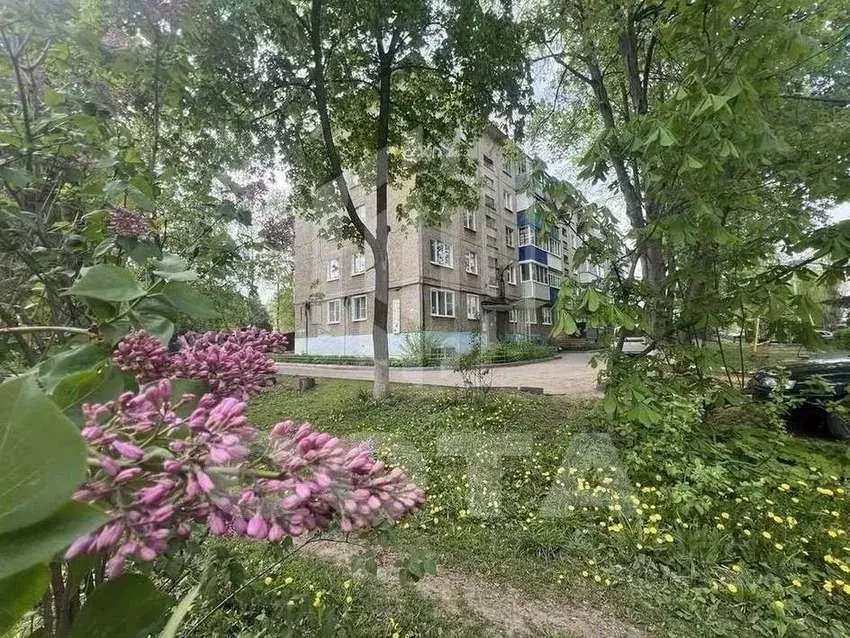 Торговая площадь в Липецкая область, Елец ул. Королева, 13 (124 м) - Фото 1
