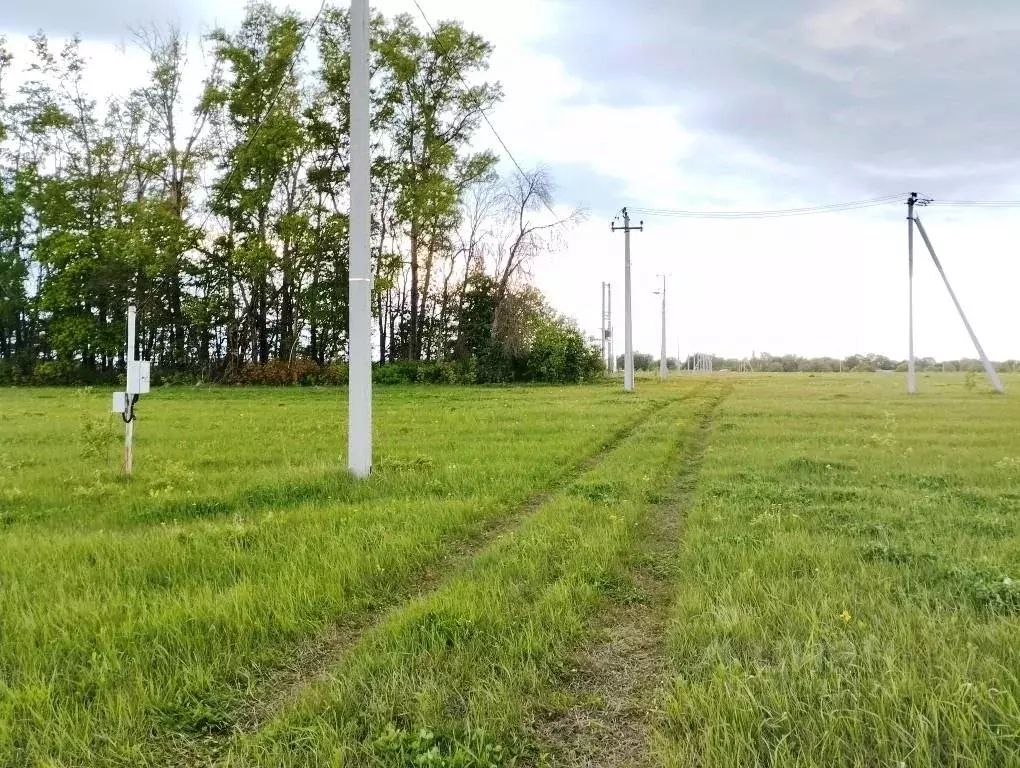 Участок в Тульская область, Тула городской округ, д. Лутовиново  (15.0 ... - Фото 0