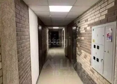 Студия Кировская область, Киров ул. Анжелия Михеева, 18А (22.0 м) - Фото 2