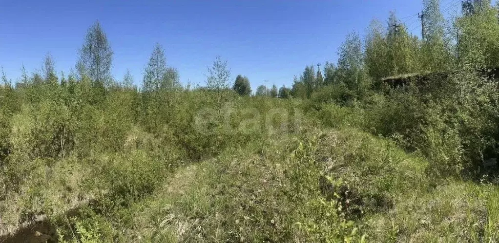 Участок в Ленинградская область, Всеволожский район, Колтушское ... - Фото 0