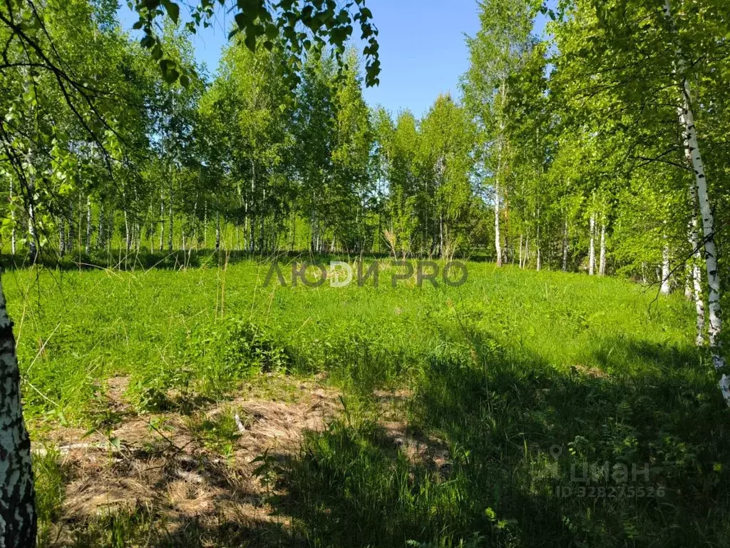 Участок в Алтайский край, Первомайский район, с. Фирсово ул. Толстого, ... - Фото 1