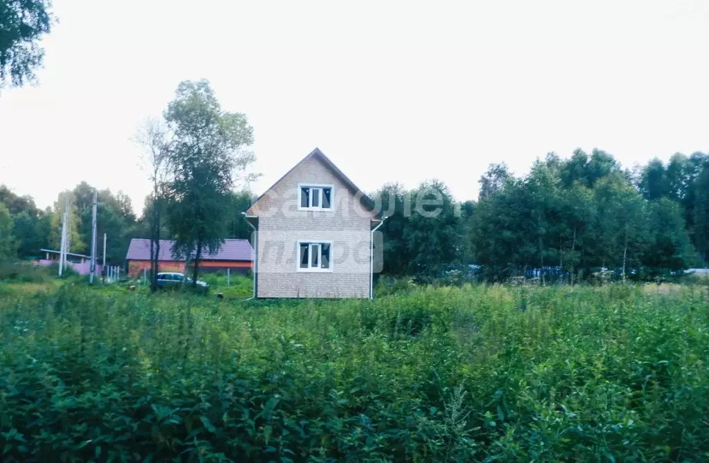 Участок в Тюменская область, Тюмень СОСН Геолог-1 тер., ул. 6-я Линия ... - Фото 1