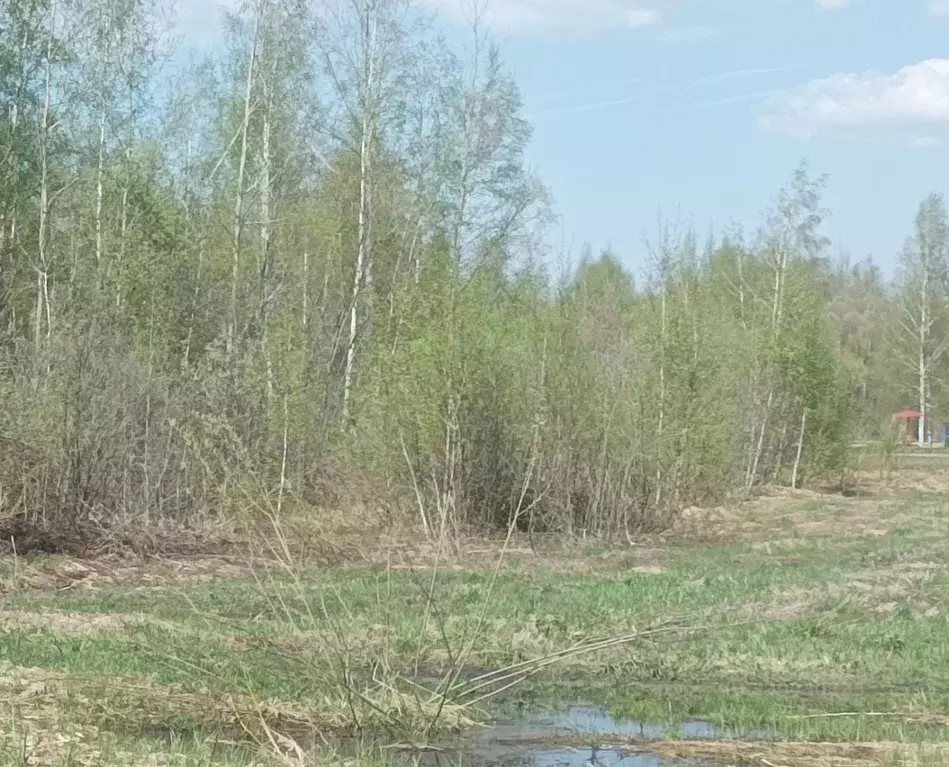 Участок в Московская область, Шатура муниципальный округ, с. Пышлицы  ... - Фото 1
