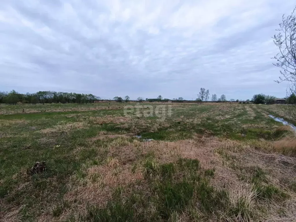 Участок в Амурская область, Свободненский район, с. Усть-Пера ... - Фото 0