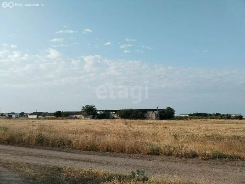 Участок в Каменское, Овражная улица (6 м) - Фото 1