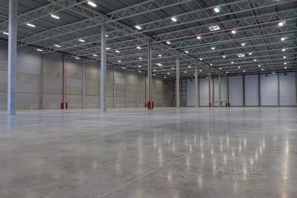 Склад в Московская область, Раменский муниципальный округ, ... - Фото 2