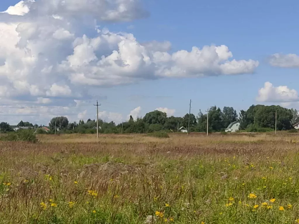 Участок в Московская область, Орехово-Зуевский городской округ, д. ... - Фото 1