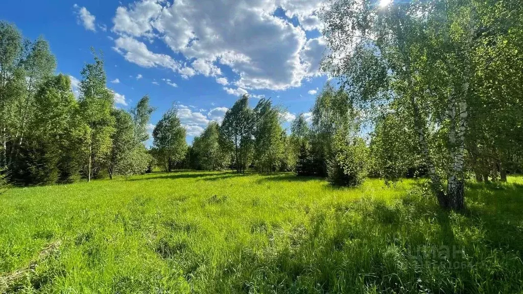 Участок в Московская область, Ступино городской округ, д. Гридюкино, ... - Фото 1