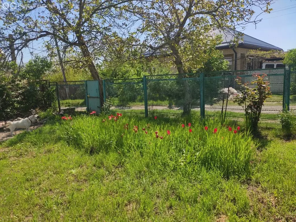 Дом в посёлок городского типа Ахтырский, Московская улица (24 м) - Фото 0